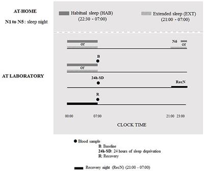 Leukocyte Expression of Type 1 and Type 2 Purinergic Receptors and Pro-Inflammatory Cytokines during Total Sleep Deprivation and/or Sleep Extension in Healthy Subjects